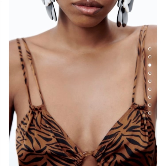 Zara animal print dress NEW - Picture 5 of 8